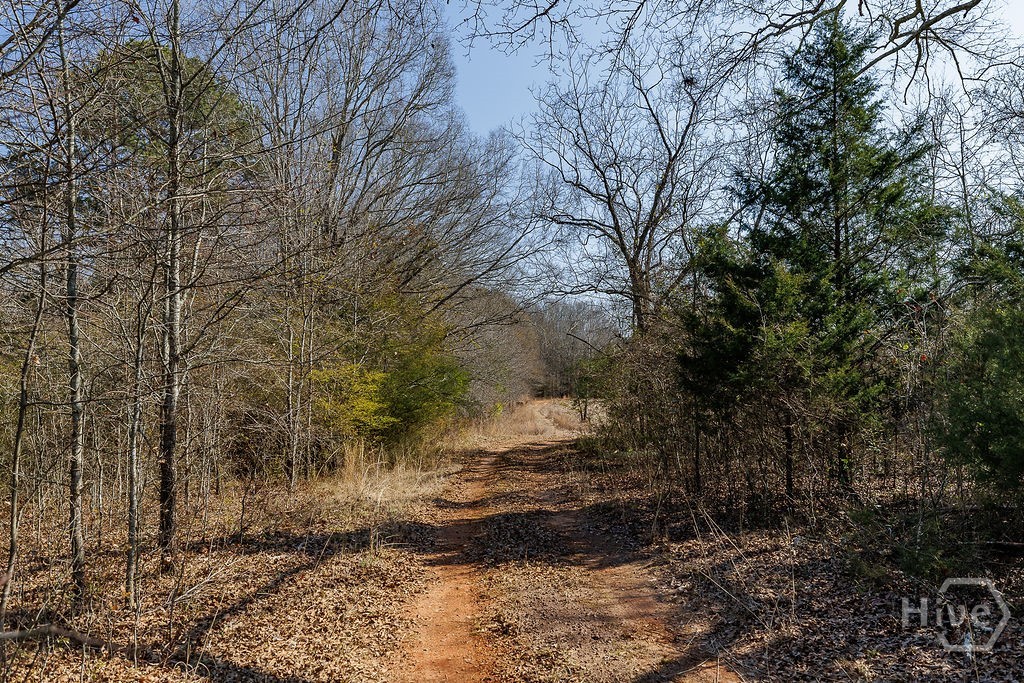 2644 Nunnally Shoals Road Good Hope, GA 30641 - Photo 7 of 17 Gallery Image 7