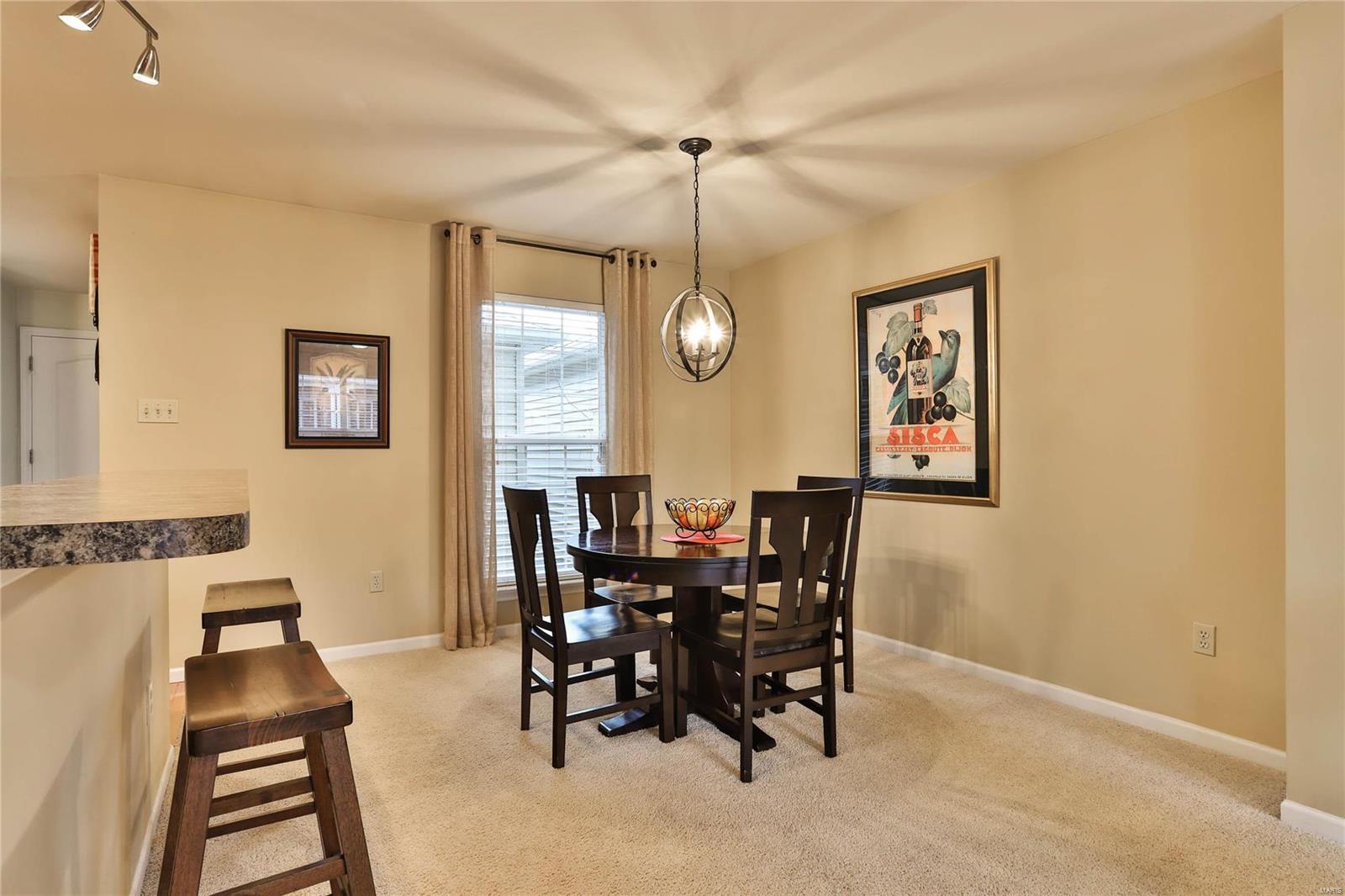 237 Coachgate Lane Ballwin, MO 63021 - Photo 5 of 23