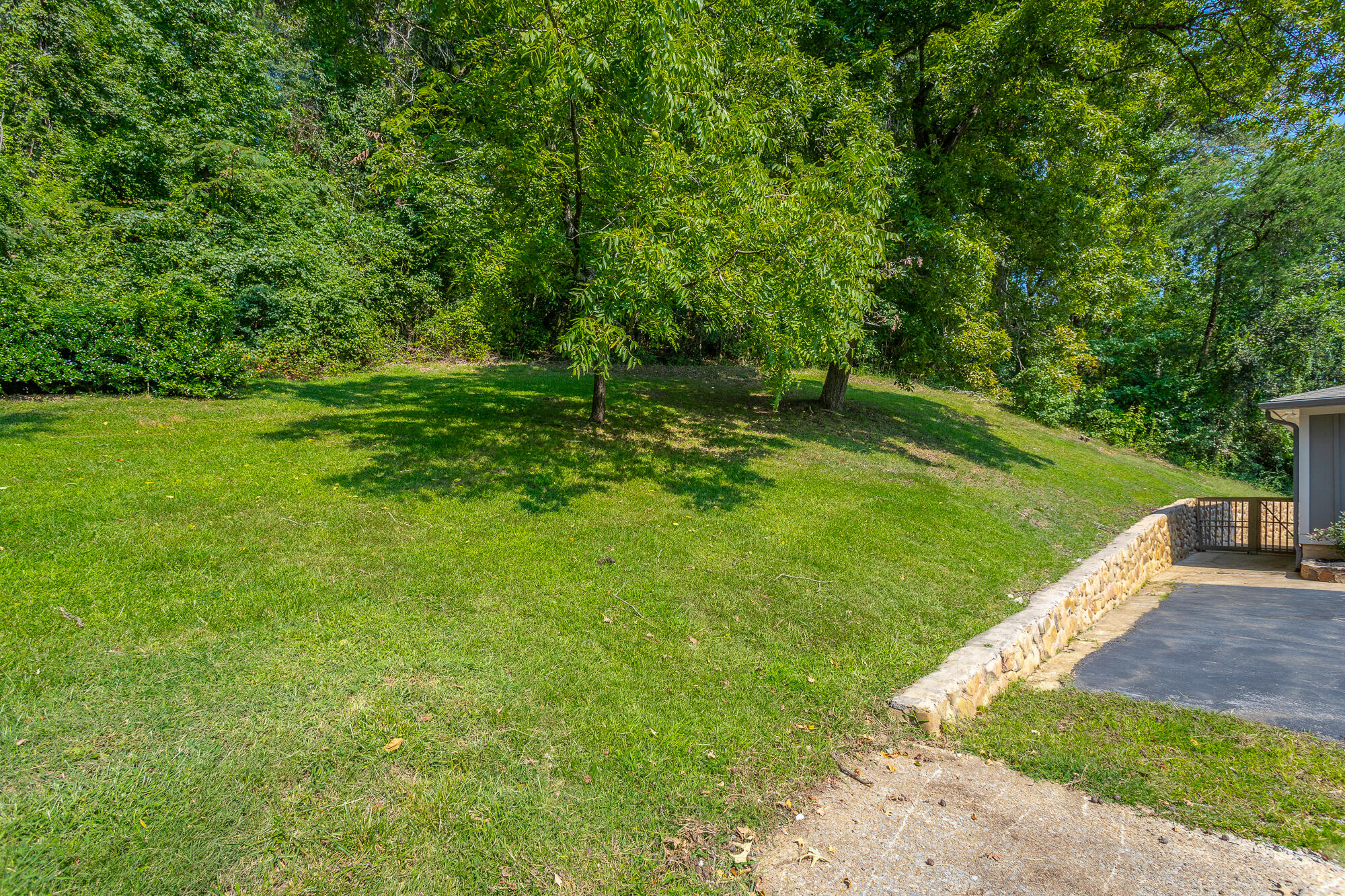 1013 Mountain Creek Road Chattanooga, TN 37405 - Photo 41 of 43 1013 Mountain Creek Road HD-31