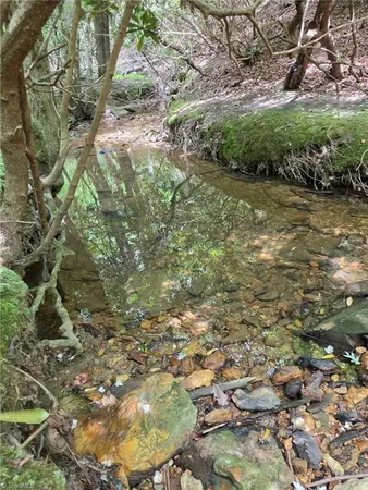 $65,000 | 0 Julian Fish Way Mount, Mount Airy, NC 27030