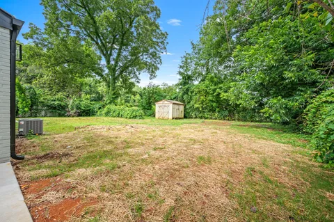 a view of a yard with a tree