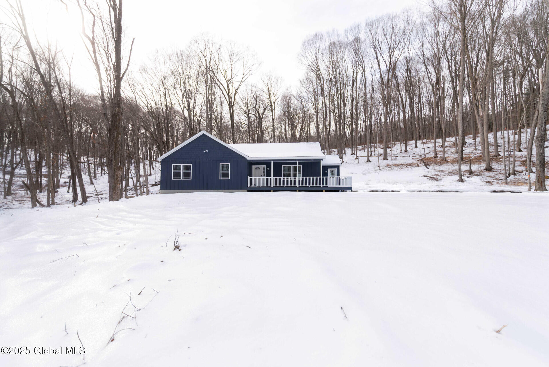 175 Snyder Pond Road Copake, NY 12516 - Photo 59 of 66 175SnyderPondRd_52787_63