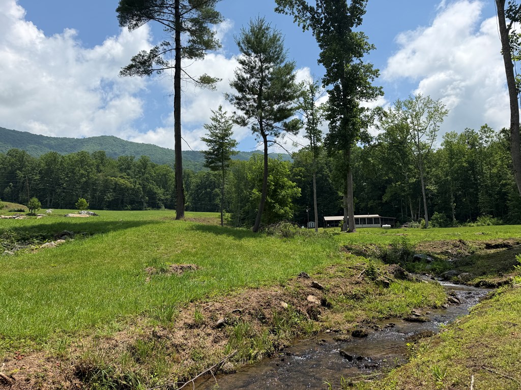1446 Muskrat Creek Road Hayesville, NC 28904 - Photo 5 of 108