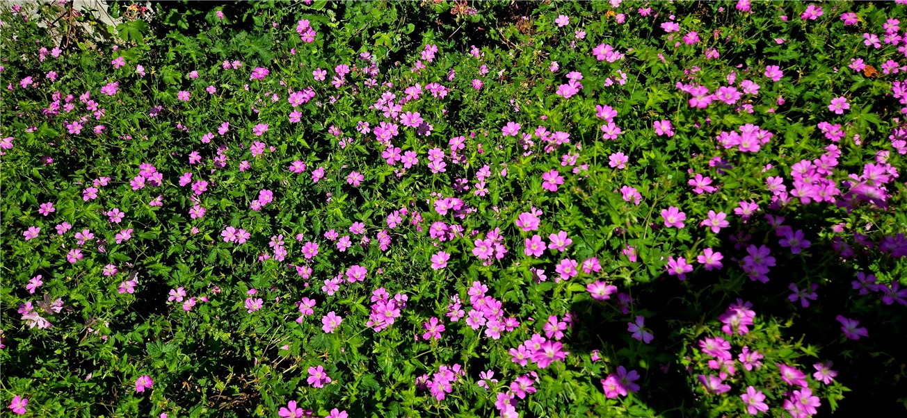 109 West Kill Road Jefferson, NY 12093 - Photo 30 of 32