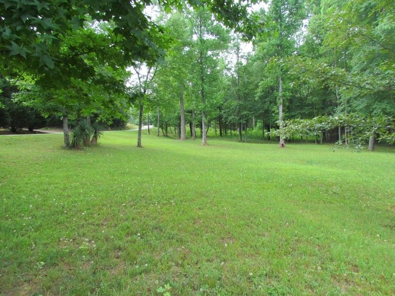 0 Hammett Road Campobello, SC 29322 - Photo 3 of 9