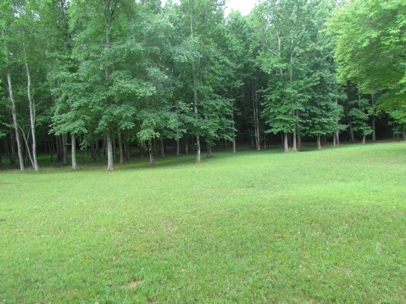 0 Hammett Road Campobello, SC 29322 - Photo 7 of 9