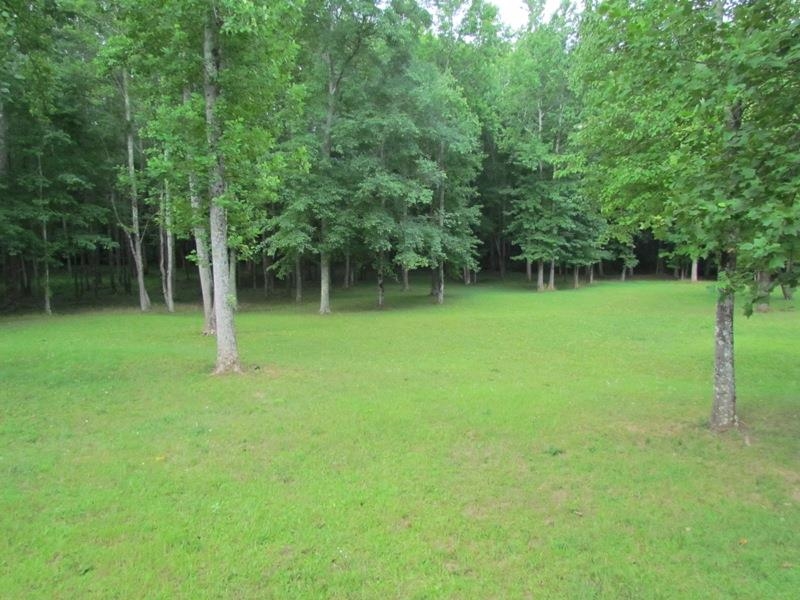 0 Hammett Road Campobello, SC 29322 - Photo 8 of 9