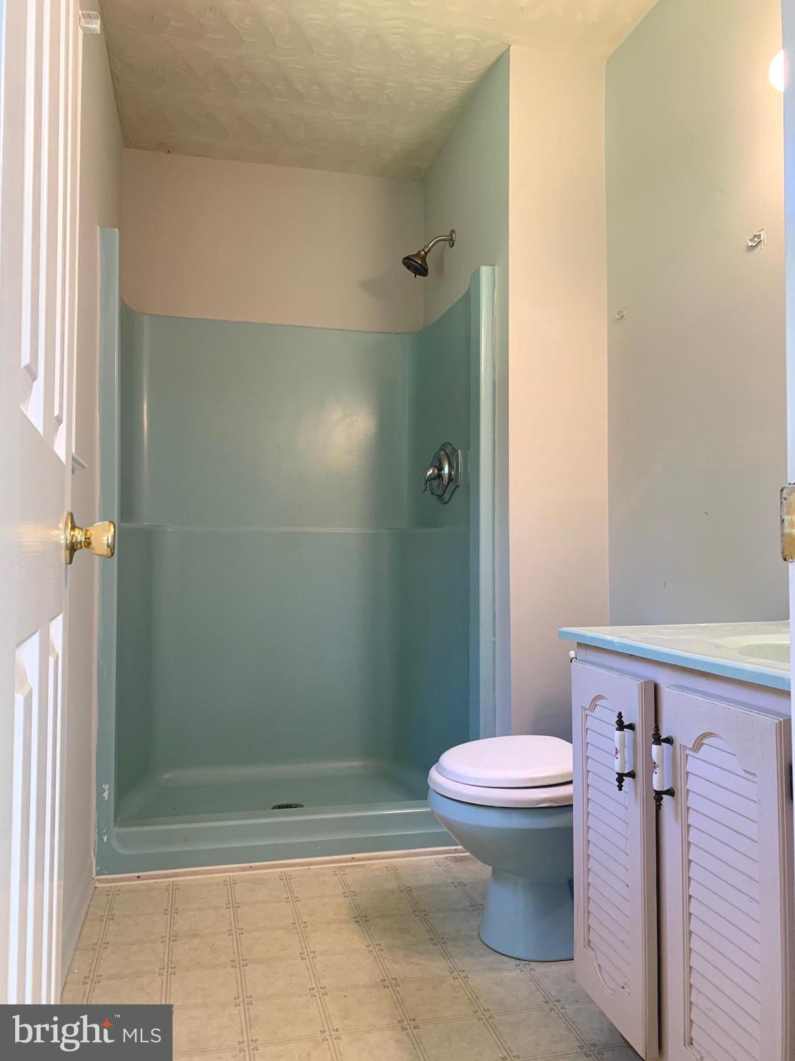 10413 Elys Ford Road Fredericksburg, VA 22407 - Photo 9 of 15 Primary bath