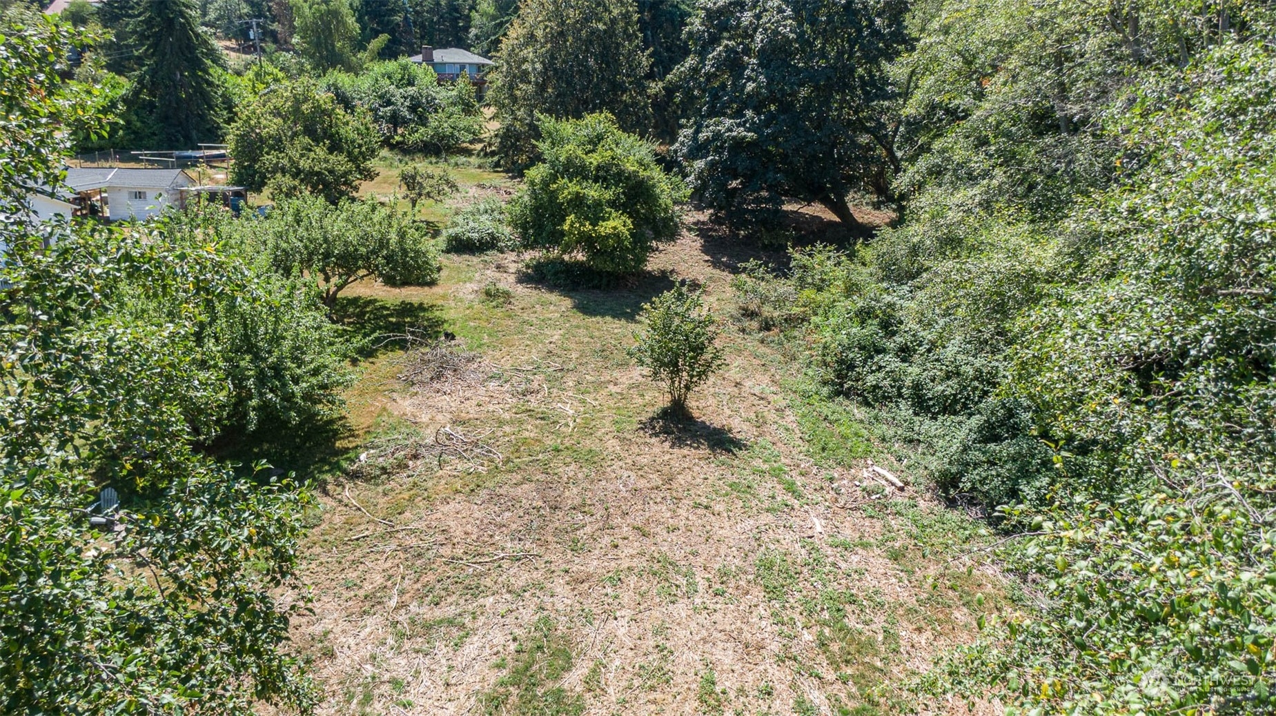 0 Southwest Luana Beach Road Vashon, WA 98070 - Photo 7 of 14 Gallery Image 7
