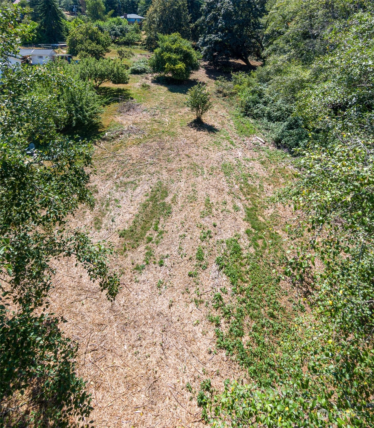 0 Southwest Luana Beach Road Vashon, WA 98070 - Photo 8 of 14 Gallery Image 8