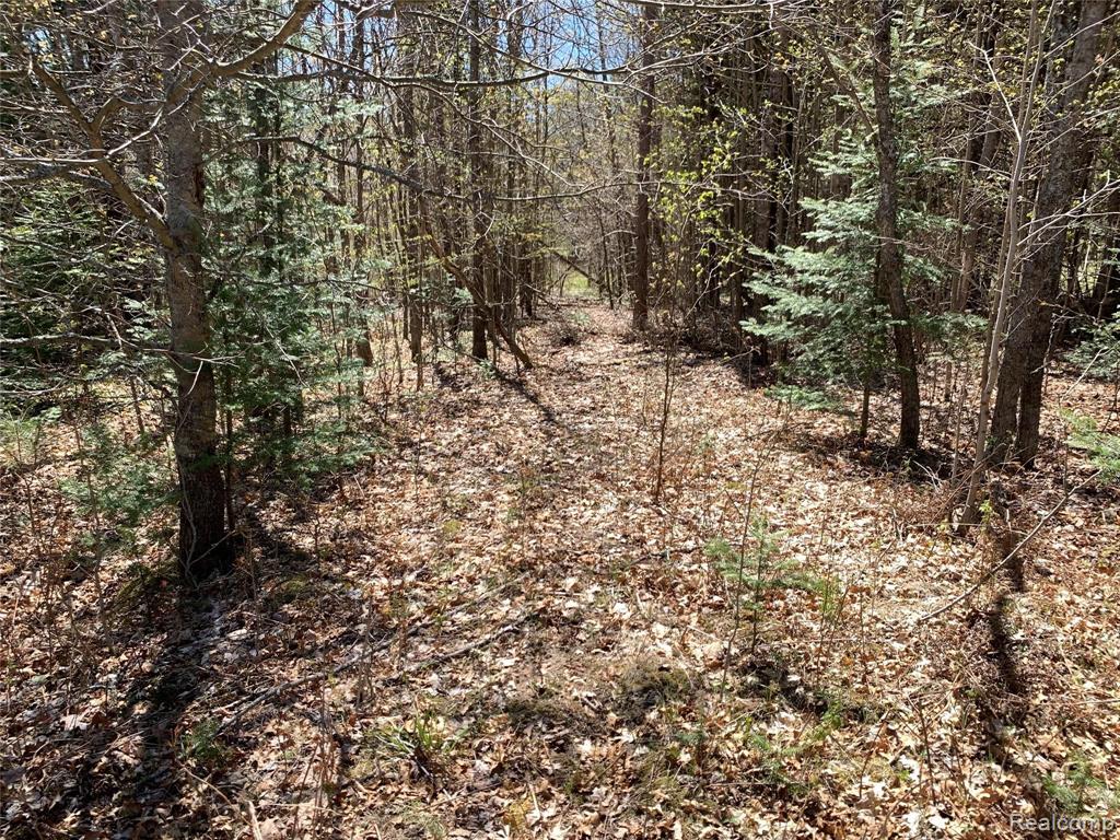 1 West Kneeland Road Mio, MI 48647 - Photo 10 of 16