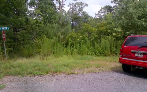 Lot12 Lot12 Ruby Ridge Young Harris, GA 30582 - Photo 1 of 1 Main View