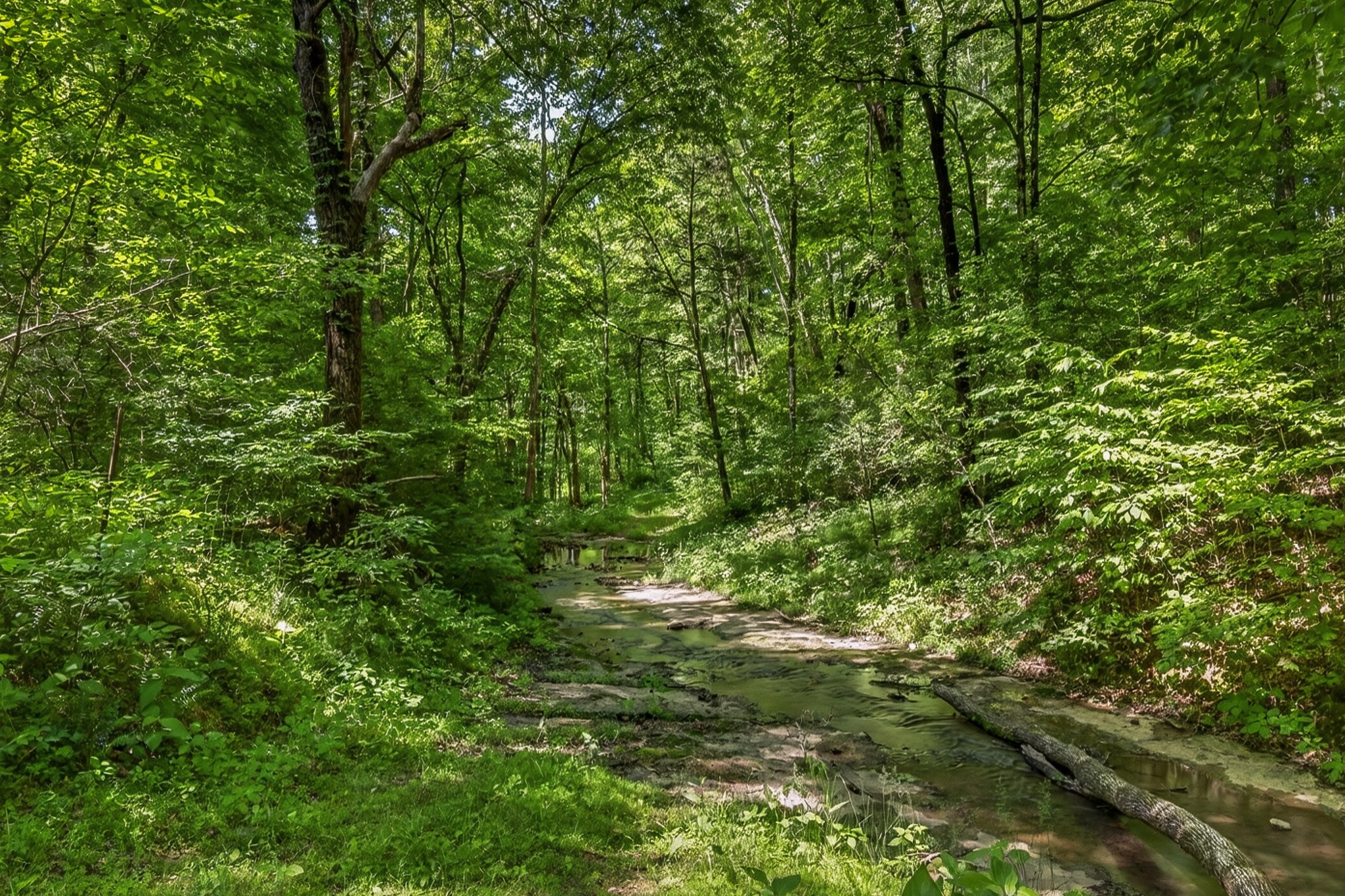 37 Old McLemore Road Taft, TN 38488 - Photo 17 of 57