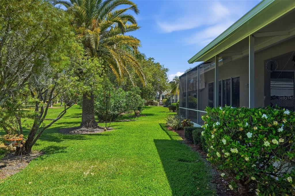 1430 Canberley Court Trinity, FL 34655 - Photo 43 of 66