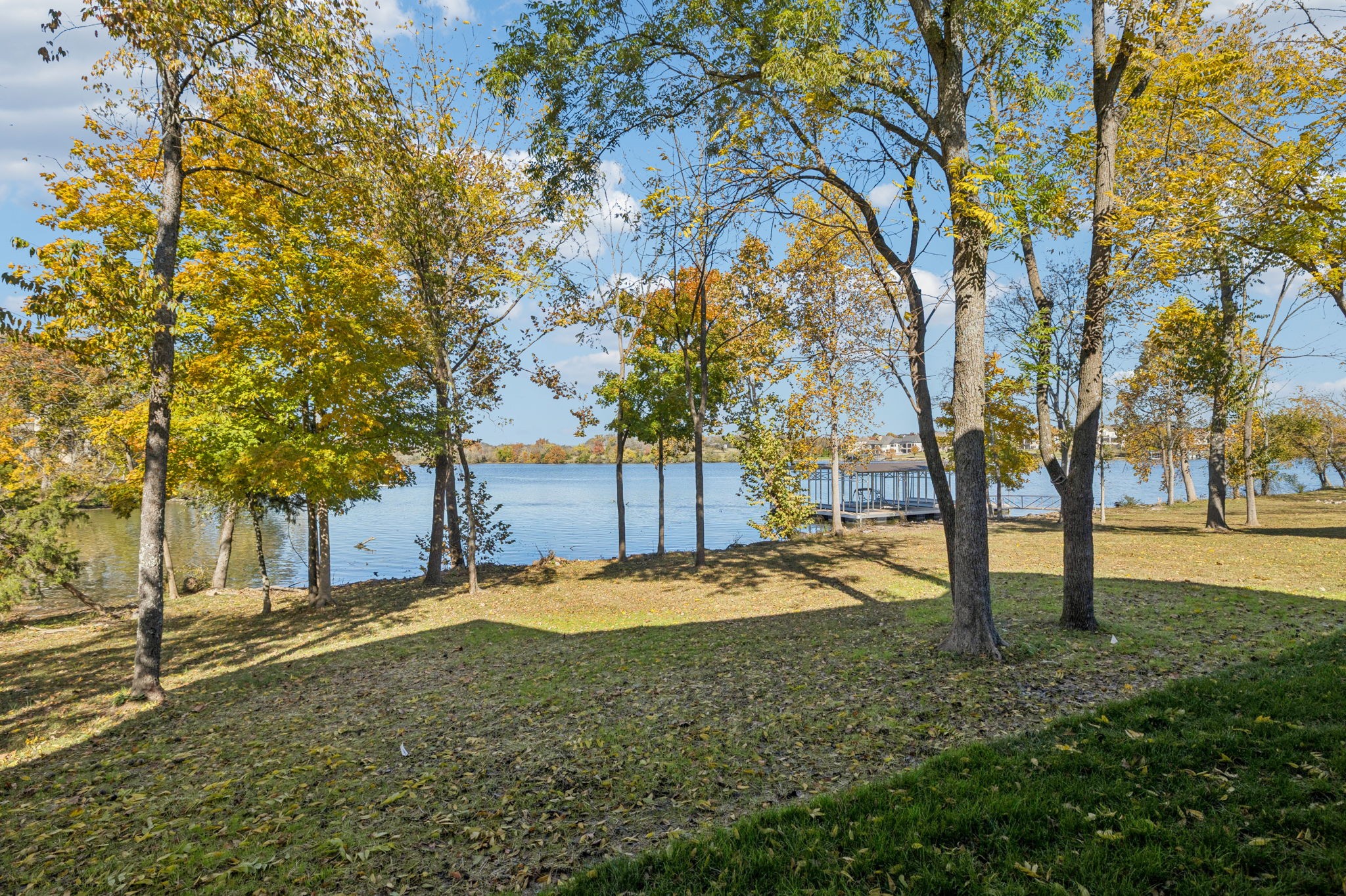 2016 Albatross Way Gallatin, TN 37066 - Photo 3 of 88 a view of backyard with tree