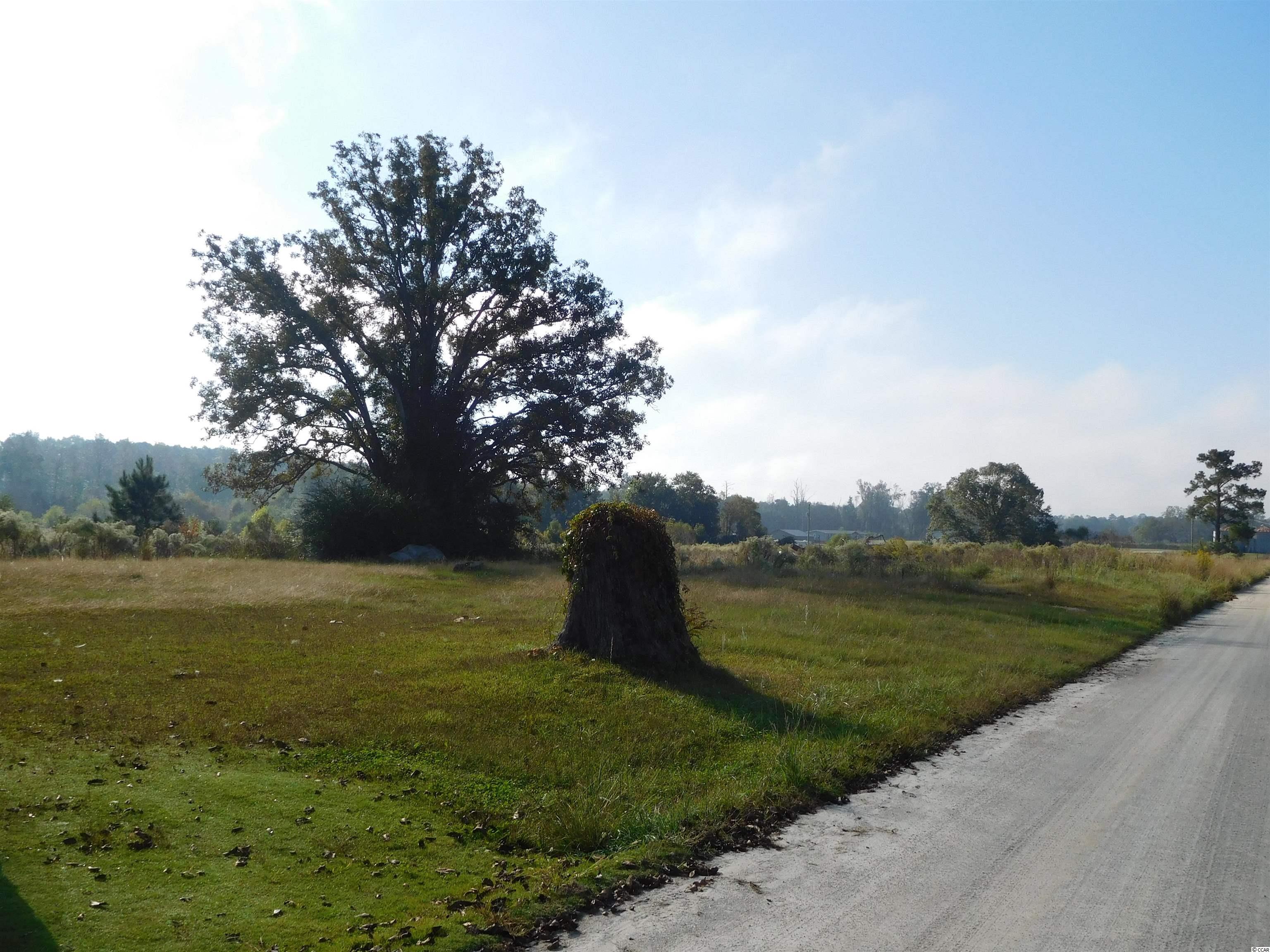 2725 Cobblestone Road Loris, SC 29569 - Photo 6 of 11