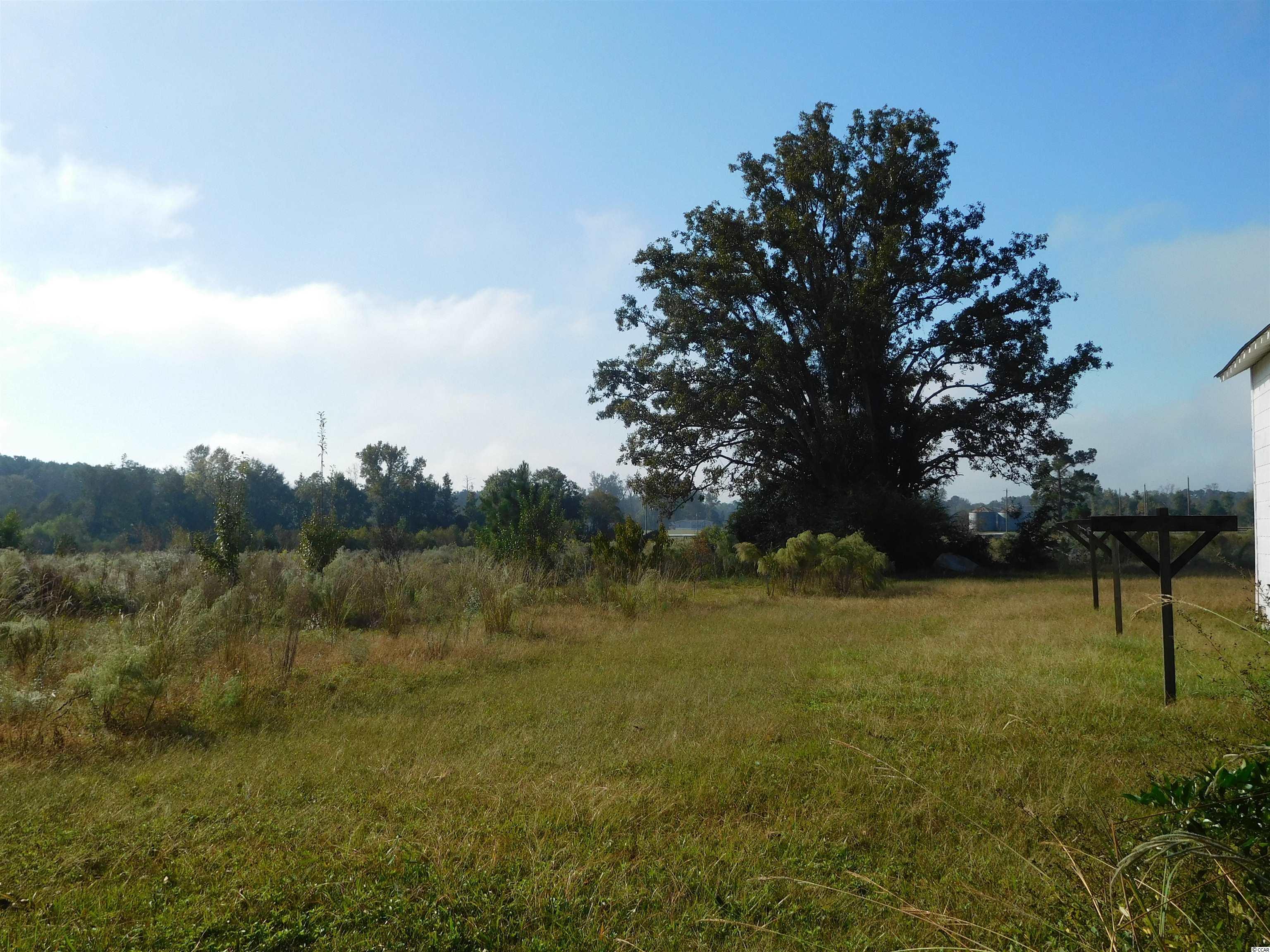 2725 Cobblestone Road Loris, SC 29569 - Photo 8 of 11