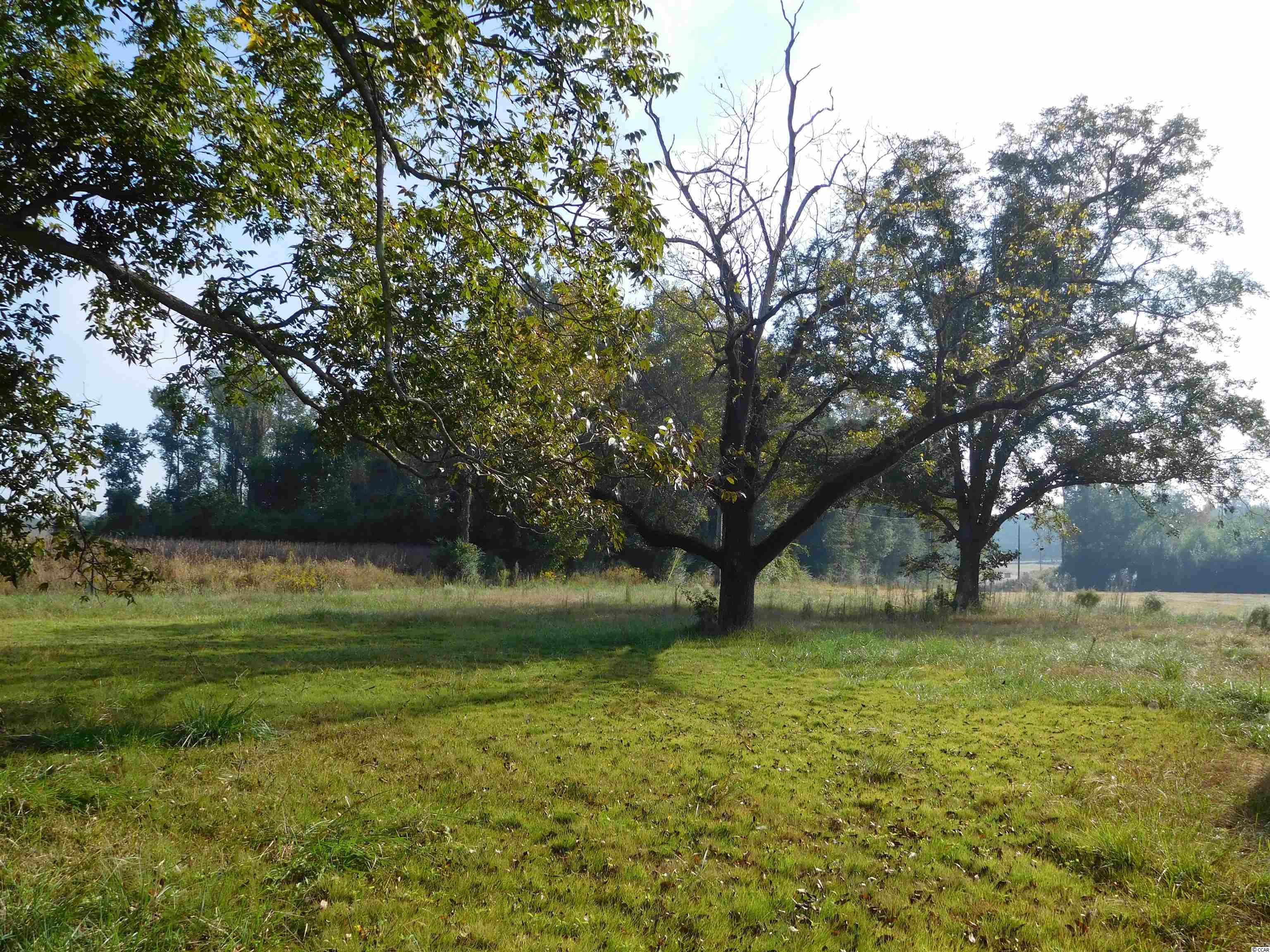 2725 Cobblestone Road Loris, SC 29569 - Photo 9 of 11