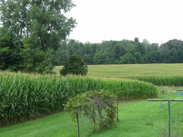 0 Maudlin Road Hagerstown, IN 47346 - Photo 2 of 26 Gallery Image 2