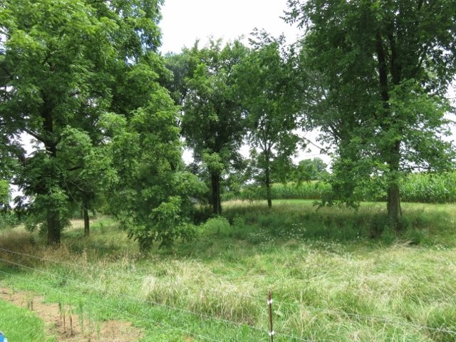 0 Maudlin Road Hagerstown, IN 47346 - Photo 21 of 26 Gallery Image 21