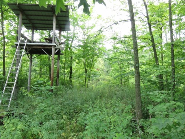 0 Maudlin Road Hagerstown, IN 47346 - Photo 5 of 26 Gallery Image 5