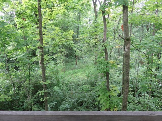 0 Maudlin Road Hagerstown, IN 47346 - Photo 6 of 26 Gallery Image 6