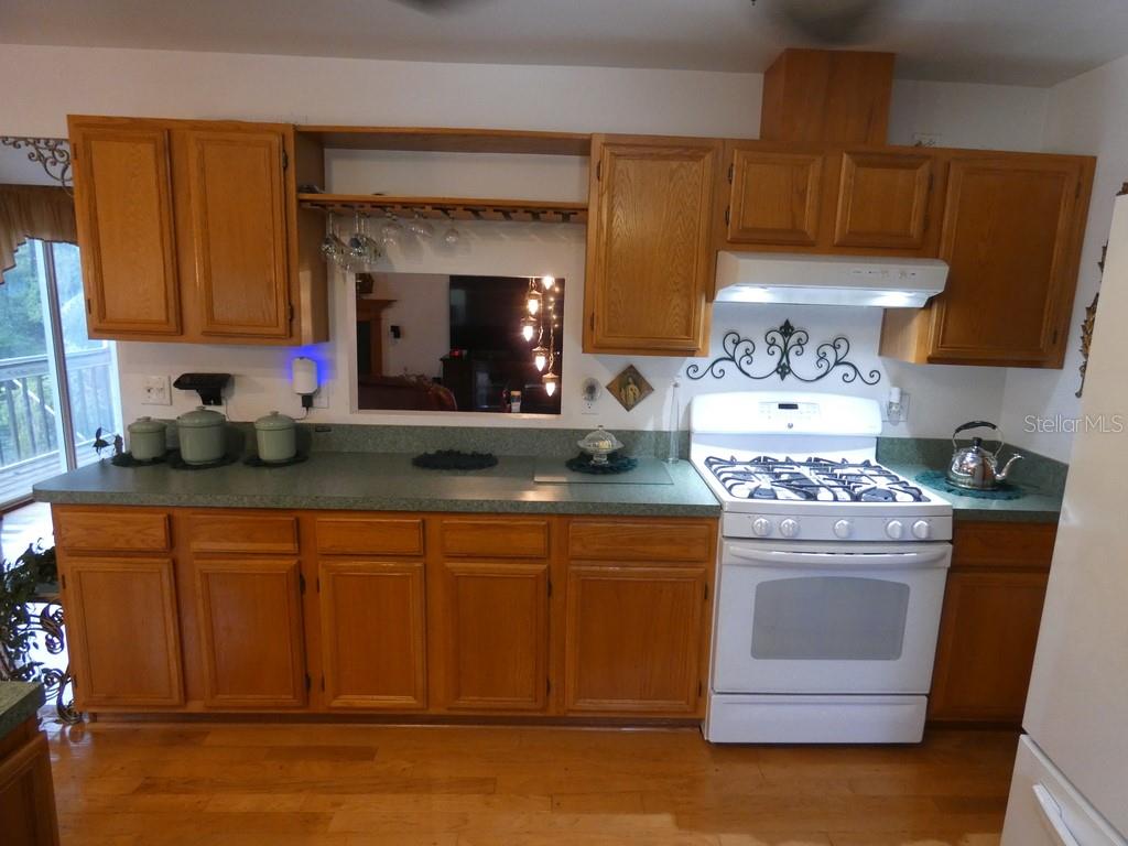 5260 Tuna Lane Weeki Wachee, FL 34607 - Photo 18 of 34 a kitchen with stainless steel appliances a stove a sink and a microwave