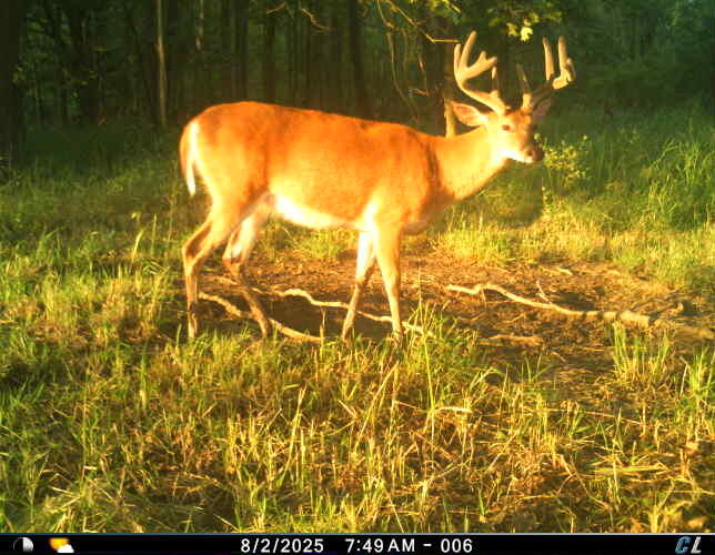 0 Wheeler Road Homer, MI 49245 - Photo 13 of 38 Gallery Image 13