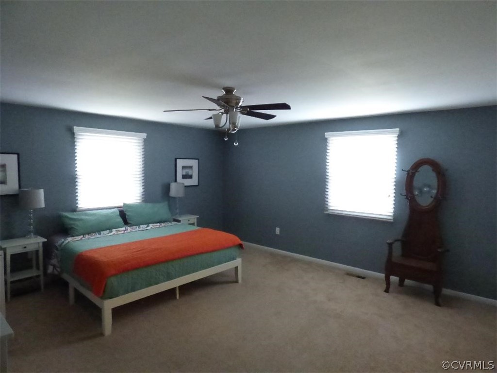 10421 Cattail Road Chesterfield, VA 23838 - Photo 9 of 12 Master bedroom