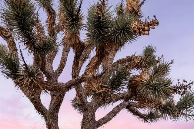 $525,000 | 7422 Joshua Lane, Yucca Valley, CA 92284