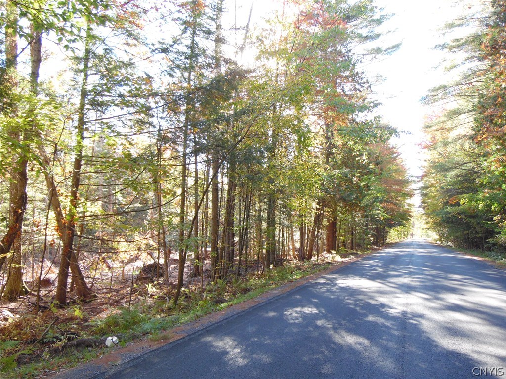 Lot # Austin Road Glenfield, NY 13343 - Photo 1 of 1 Gallery Image 1