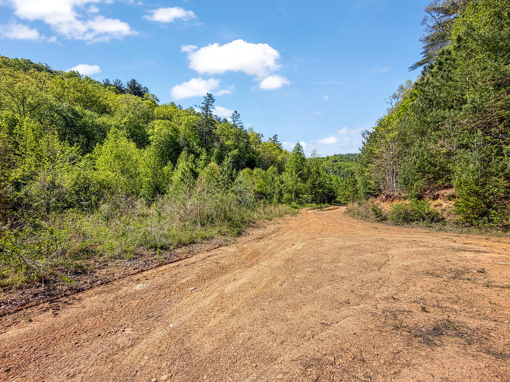 40-ac #1 40-ac Road Mineral Bluff, GA 30559 - Photo 29 of 35 Gallery Image 29