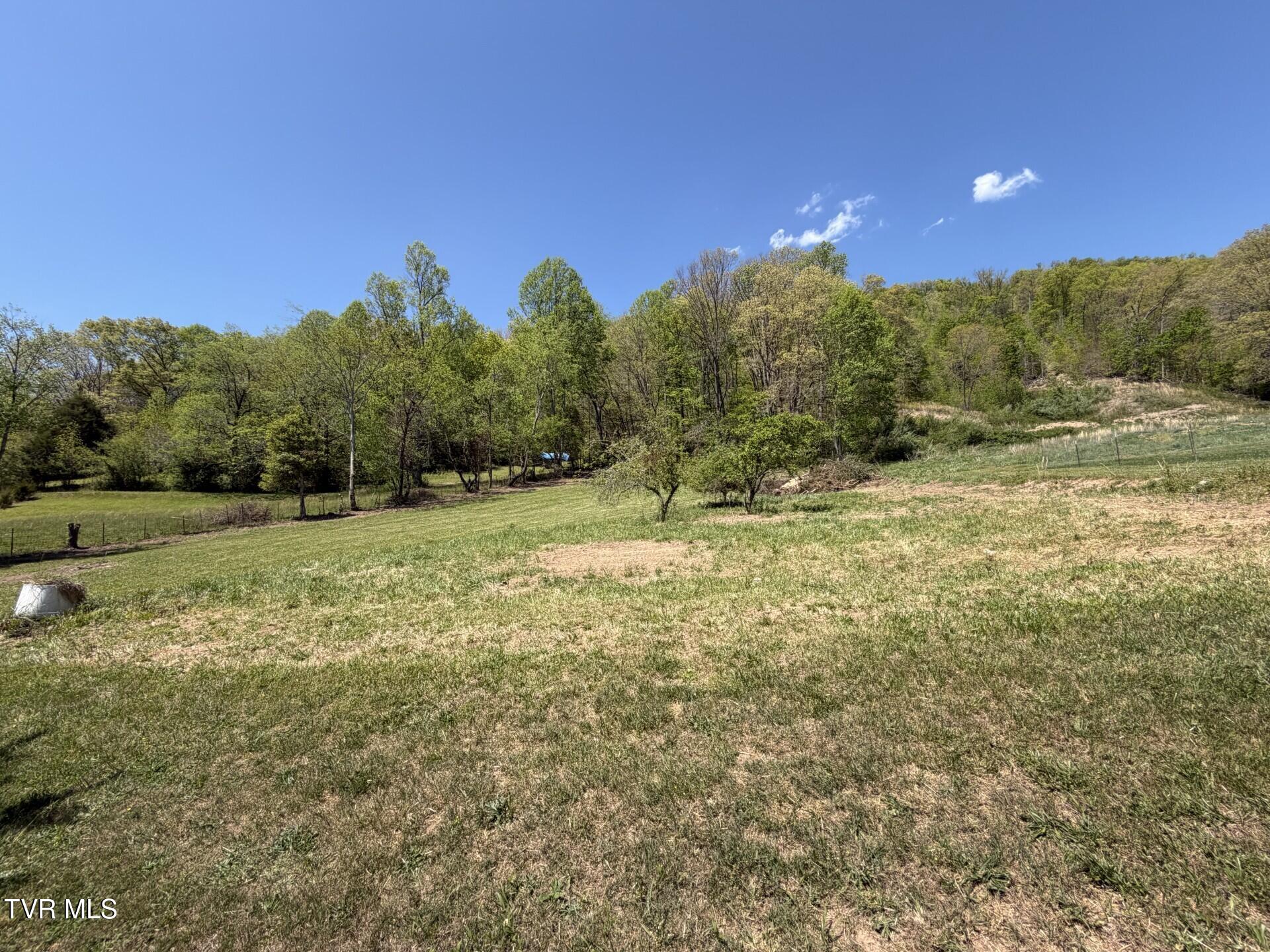 487 Right Poor Valley Road Pennington Gap, VA 24277 - Photo 10 of 31 Yard 6