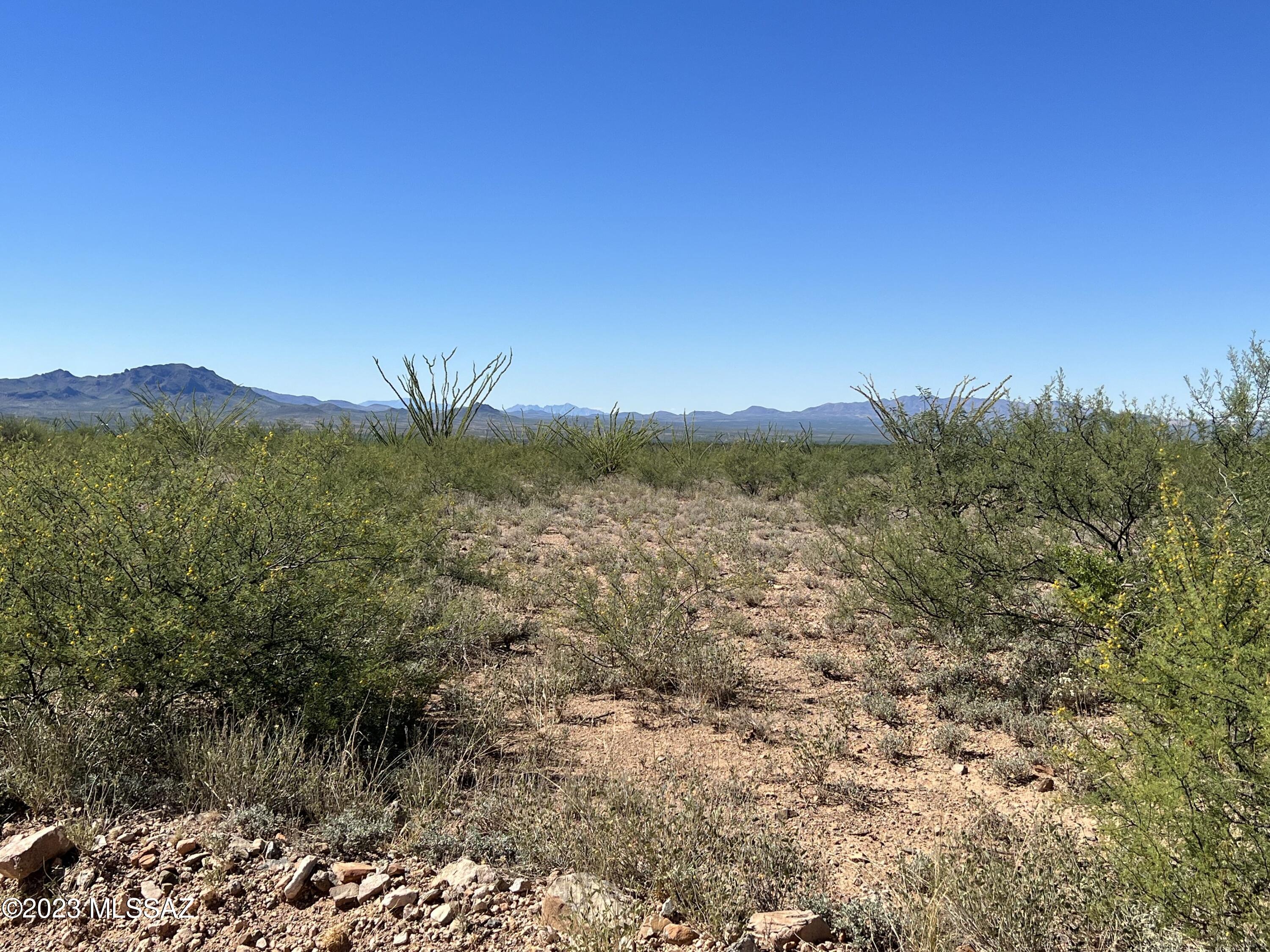 Tbd Camino Nacozari, Unit 71 Rio Rico, AZ 85648 - Photo 15 of 19 Incredible Lot