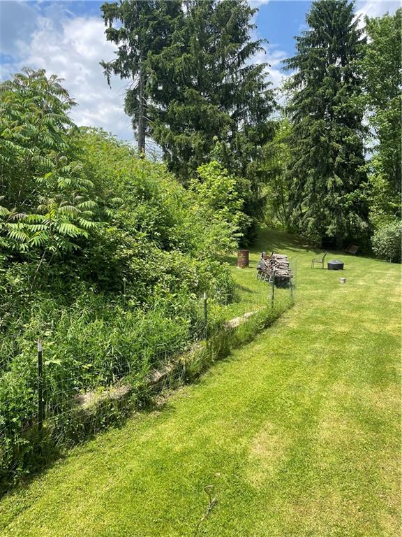 867 Ambrose Road Home, PA 15747 - Photo 4 of 17 a view of yard with green space