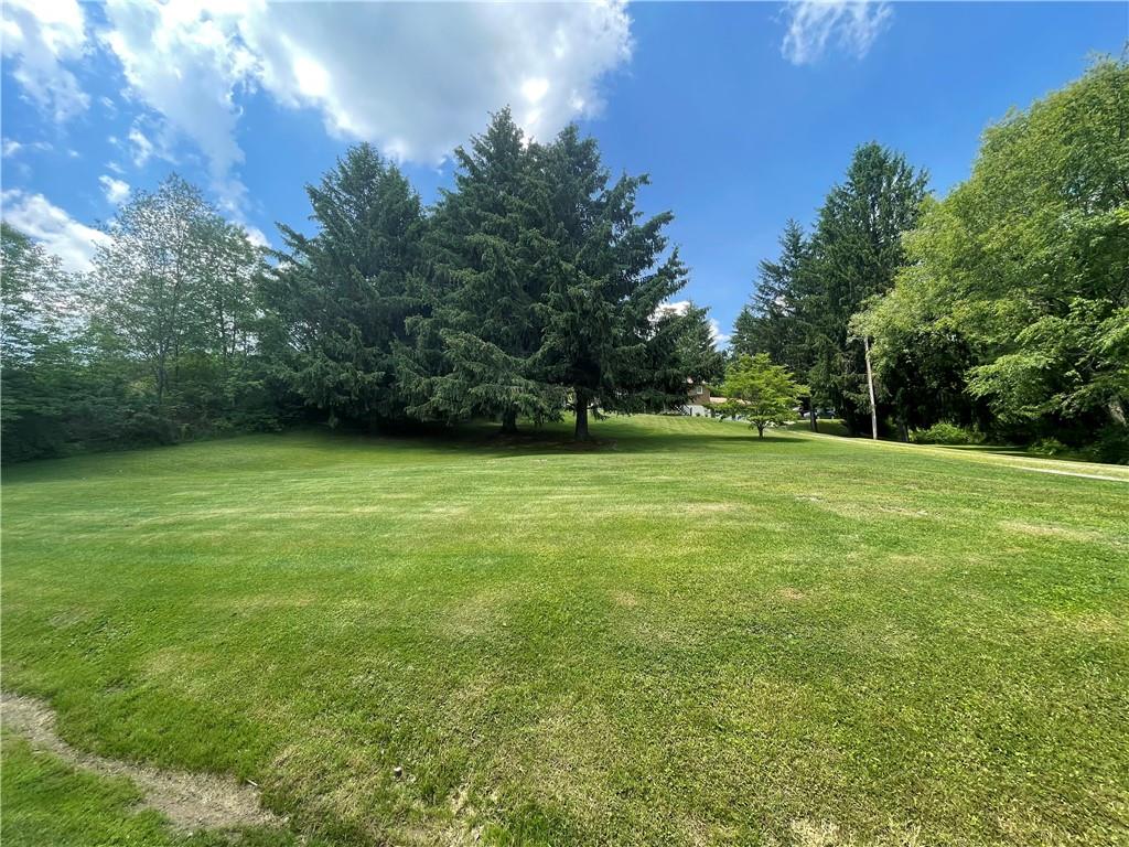 867 Ambrose Road Home, PA 15747 - Photo 7 of 17 a view of a green field with trees in the background