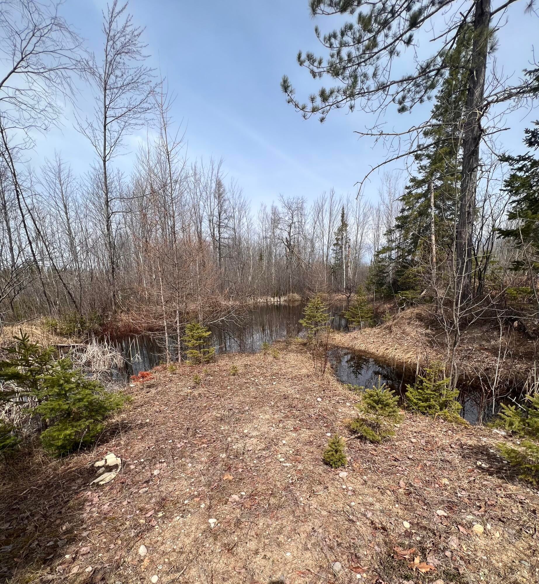 5687 Cathro Road Alpena, MI 49707 - Photo 32 of 33 Gallery Image 32