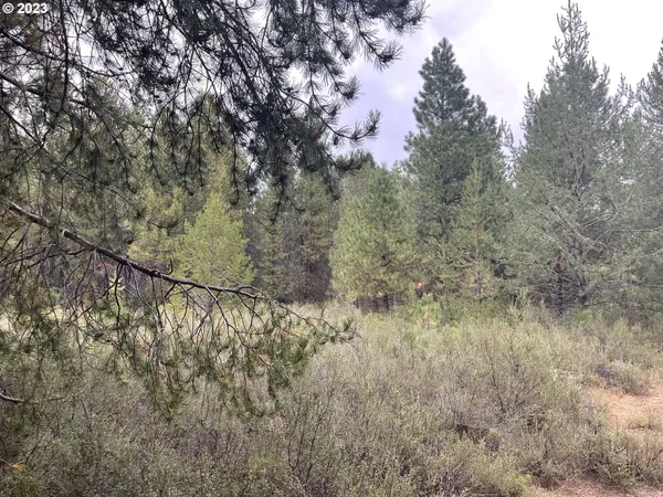 $25,000 | Mountain Lakes Drive, Unit 5, Klamath Falls, OR 97601