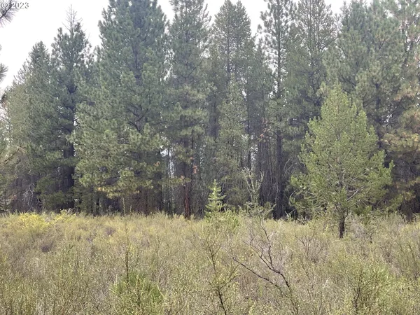 $25,000 | Mountain Lakes Drive, Unit 5, Klamath Falls, OR 97601