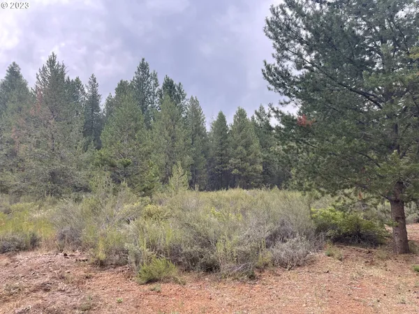 $25,000 | Mountain Lakes Drive, Unit 5, Klamath Falls, OR 97601