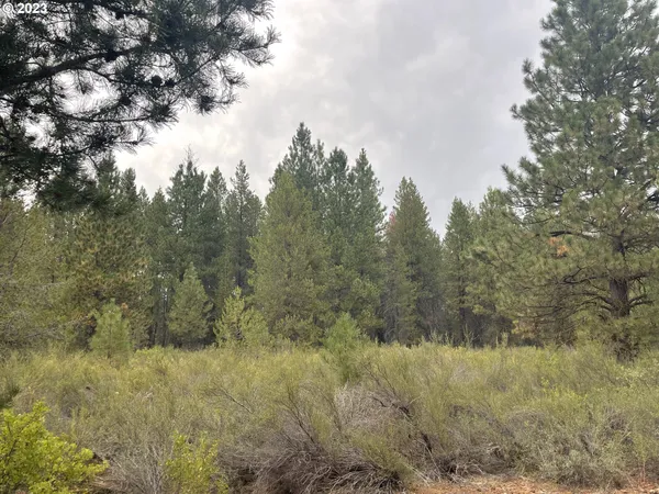 $25,000 | Mountain Lakes Drive, Unit 5, Klamath Falls, OR 97601