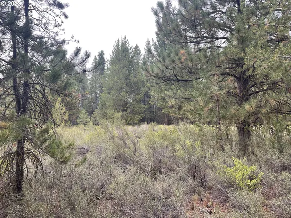 $25,000 | Mountain Lakes Drive, Unit 5, Klamath Falls, OR 97601