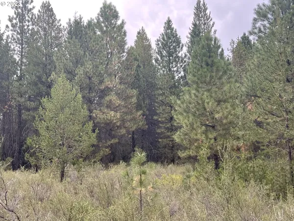 $25,000 | Mountain Lakes Drive, Unit 5, Klamath Falls, OR 97601