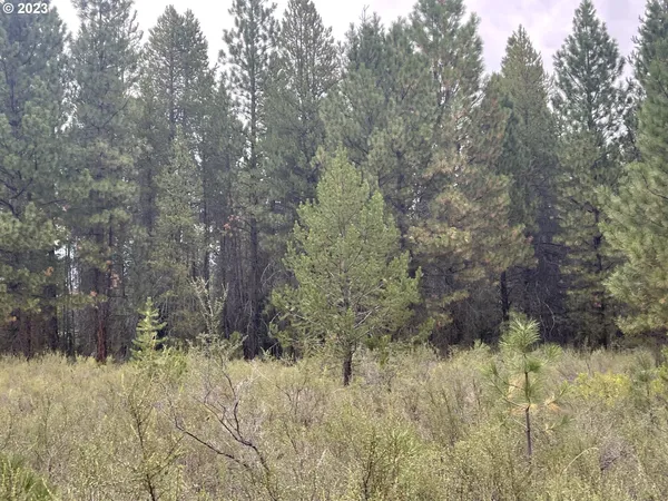 $25,000 | Mountain Lakes Drive, Unit 5, Klamath Falls, OR 97601