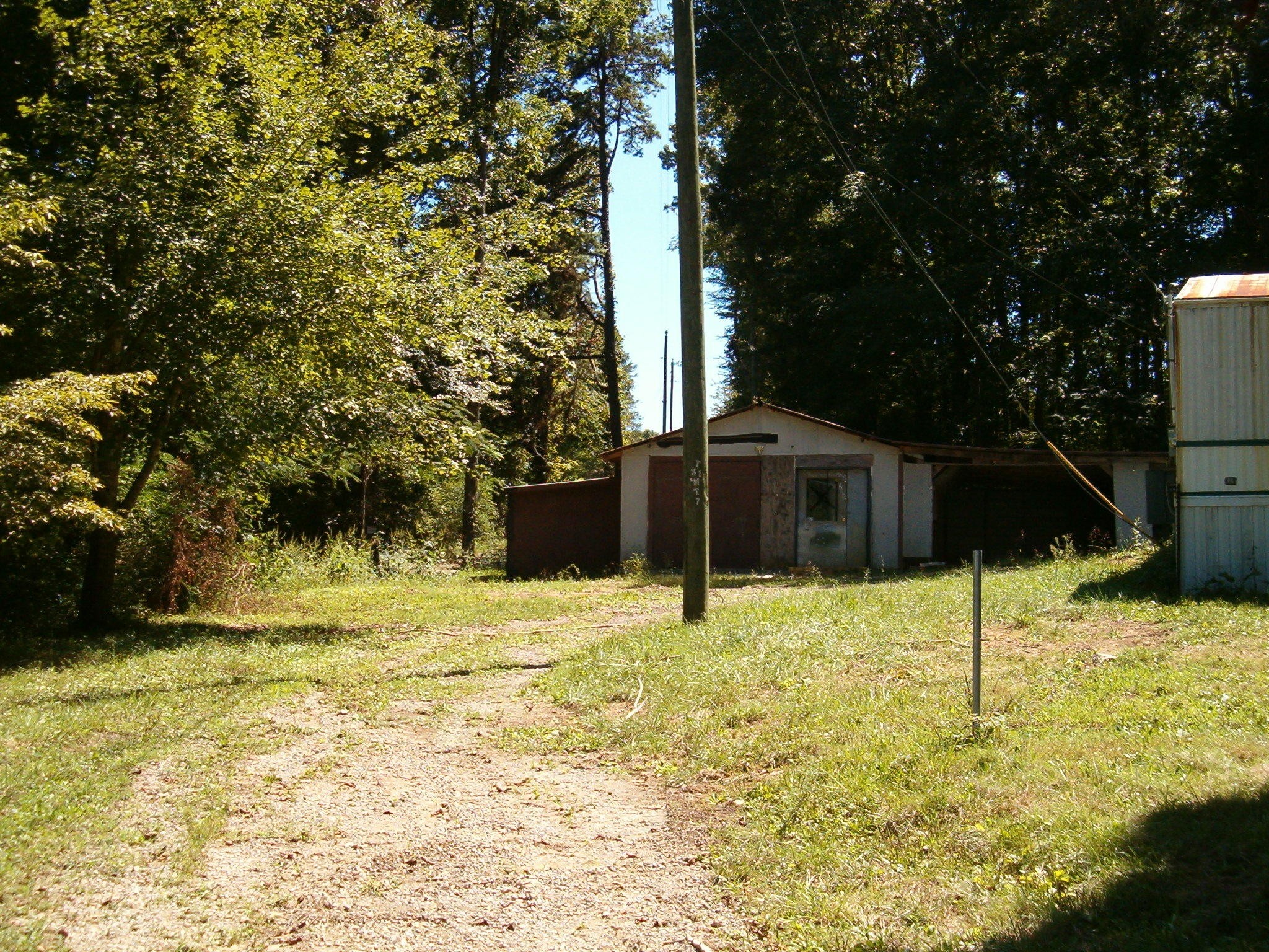 1021 Maple Grove Road Ten Mile, TN 37880 - Photo 3 of 8 a backyard of a house