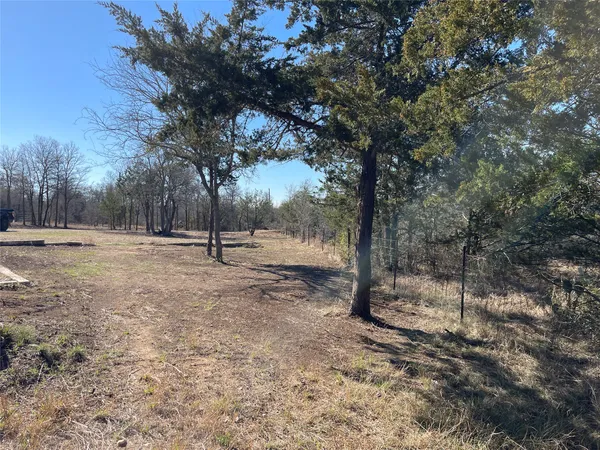 a view of outdoor space with trees