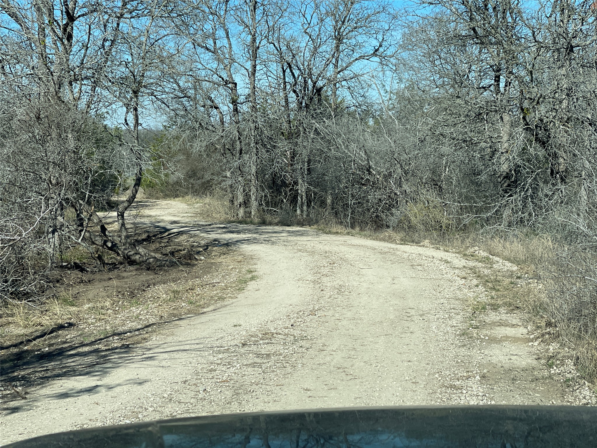 6164 South Fm 535 Road Cedar Creek, TX 78612 - Photo 25 of 27 a view of a yard with large trees