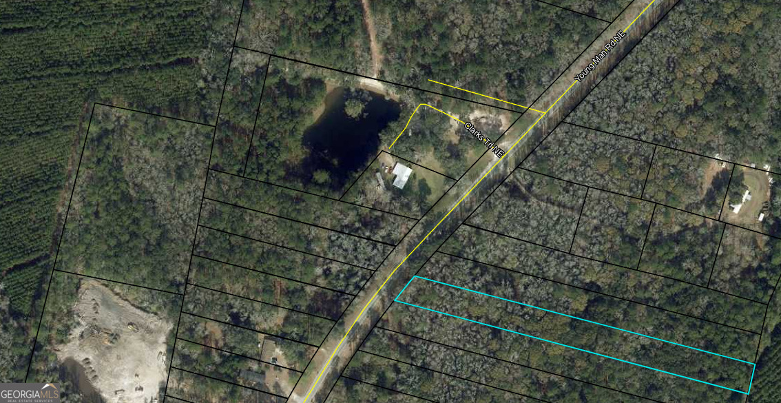 0 Youngman Road Townsend, GA 31331 - Photo 5 of 9
