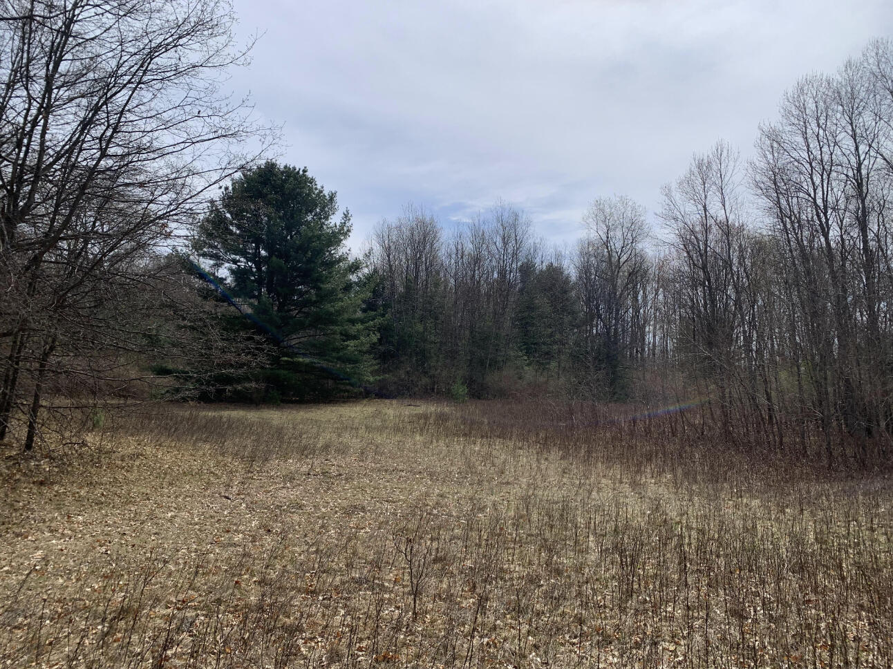 2076 North Ridge Road Harrison, MI 48625 - Photo 3 of 56 3