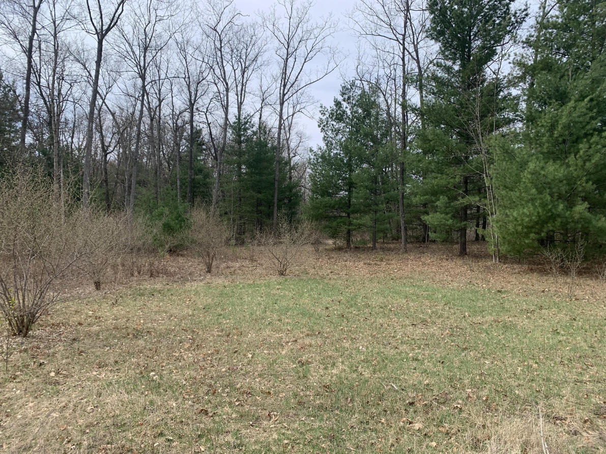 2076 North Ridge Road Harrison, MI 48625 - Photo 36 of 56 37